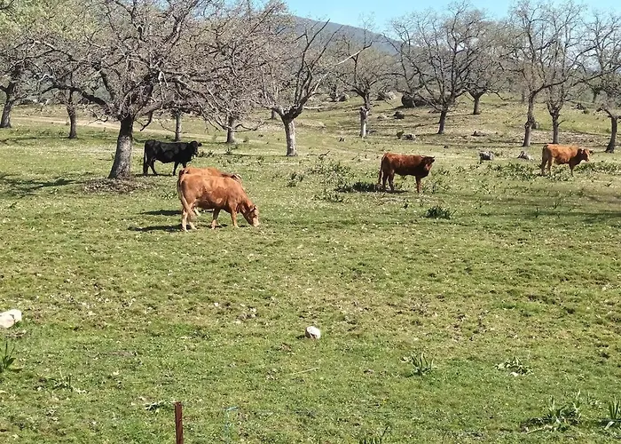 Casa Dana, Casa de Férias Losar De La Vera